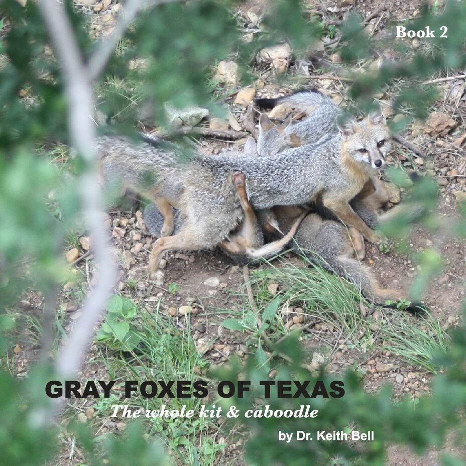 GRAY FOXES of TEXAS The whole kit & caboodle (book 2)
