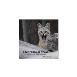 GRAY FOXES of TEXAS The whole kit & caboodle