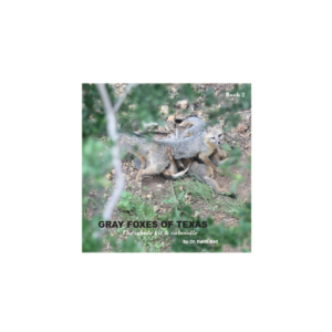 GRAY FOXES of TEXAS The whole kit & caboodle (book 2)